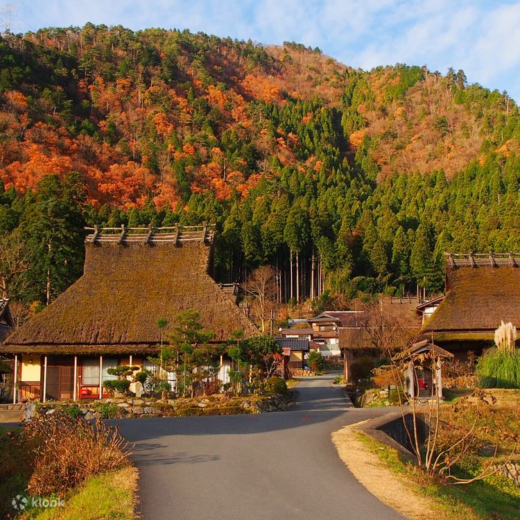 One-day tour of Amanohashidate, Ine Funaya and Miyama Gassho Village | Departing from Osaka - Klook