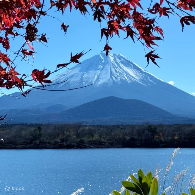 専用 河口湖 富士三湖チェックインツアー】河口湖・山中湖・精進湖・ローソン