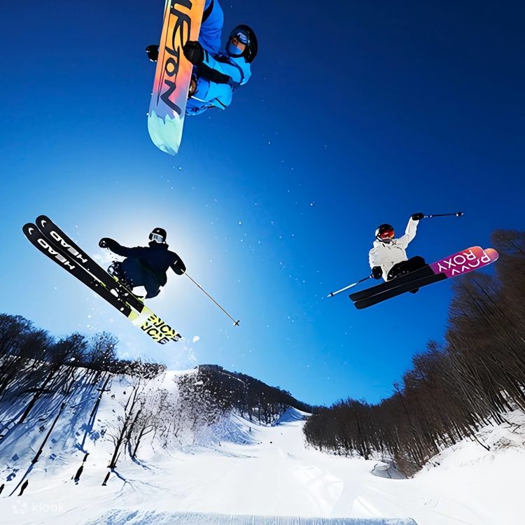 仙台蔵王NEKOMA Mountainスキー場 プライベートスキーレッスン | Klook