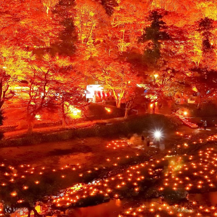 名古屋発 虎渓山永宝寺、小原四季桜、香嵐渓秋の旅 | Klook