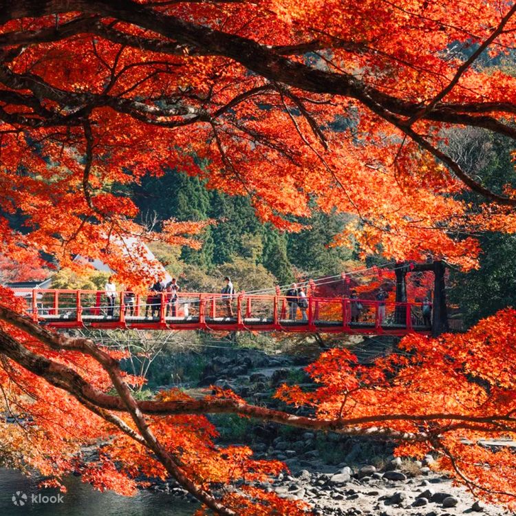 Must-See Autumn Foliage Spots in Nagoya, Japan | Tiger