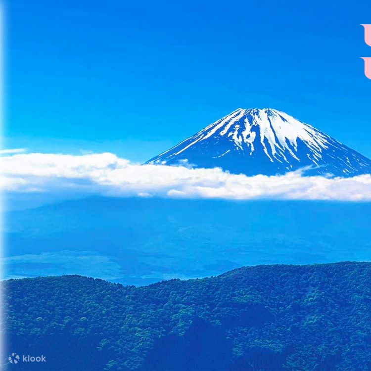 富士山スワンボート・温泉ツアー】富士山五合目・忍野八海