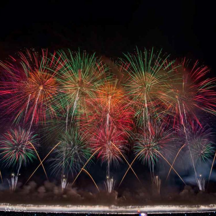 じうこ様専用 8/25 大曲 花火大会 往路 仙台⇒大曲 指定席2枚