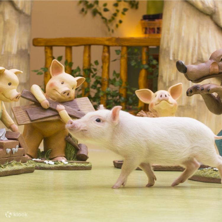 Micro pig toy sales