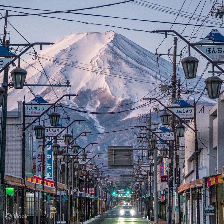 Hakuba Tsugaike Snow Wall & Shinshu's 2 Best Cherry Blossom