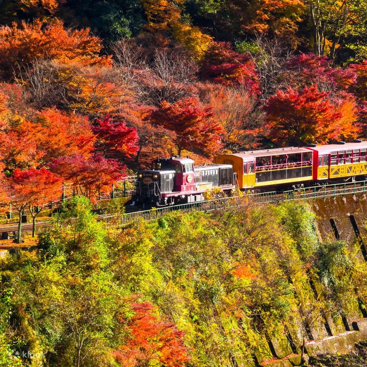 京都、嵯峨野觀光小火車、嵐山和下鴨神社一日遊- Klook香港