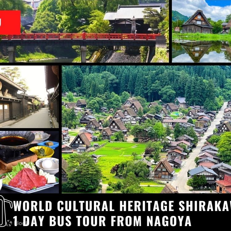 名古屋発 世界遺産白川郷と飛騨高山日帰りバスツアー | Klook