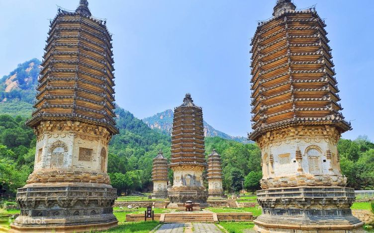 RAKUDA shina FARSHINA × OLD MOUNTAIN RAKUDA shina FARSHINA × OLD MOUNTAIN China's Southern