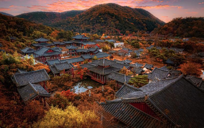 Top 10 Busan Autumn activities in 2026