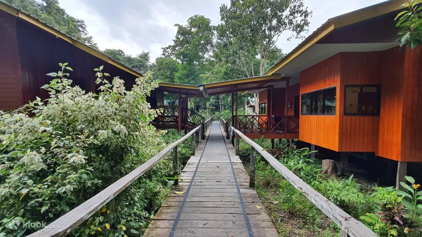 3D2N Discover Kinabatangan River with stay at Bilit Adventure Lodge in Sandakan