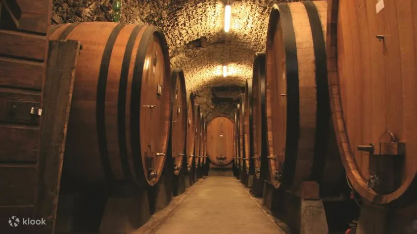 Brunello di Montalcino Small Group Wine Tour from Siena