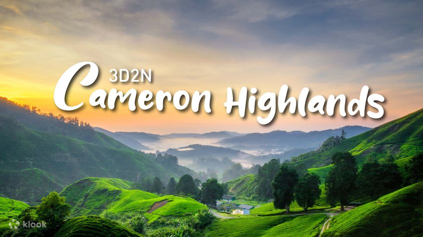 3D2N Cameron Highlands Tour From Singapore Klook Singapore 3D2N Cameron Highlands Tour From Singapore Klook Singapore