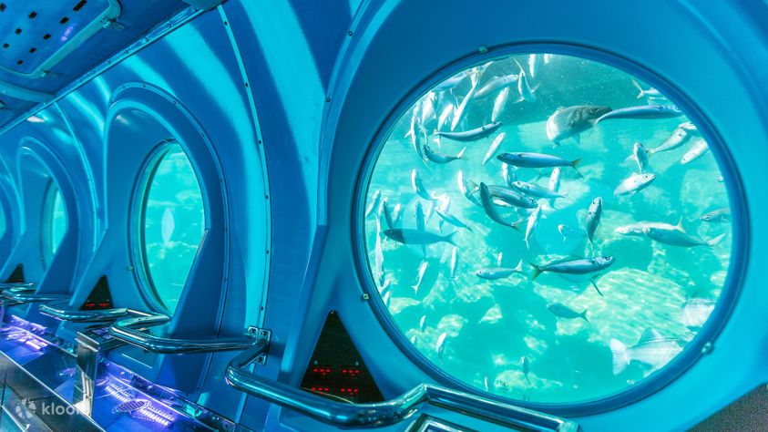 Submarine Experience in Mogan (Gran Canaria) - Klook