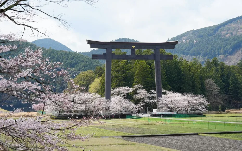 Kumano Kodo & Kumano Sanzan Full Day Pilgrimage Trekking Tour