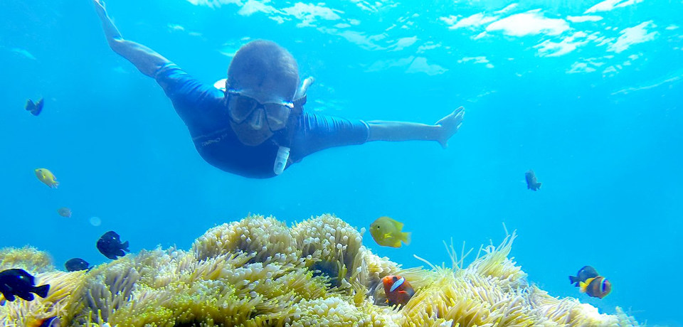 amed snorkeling trip