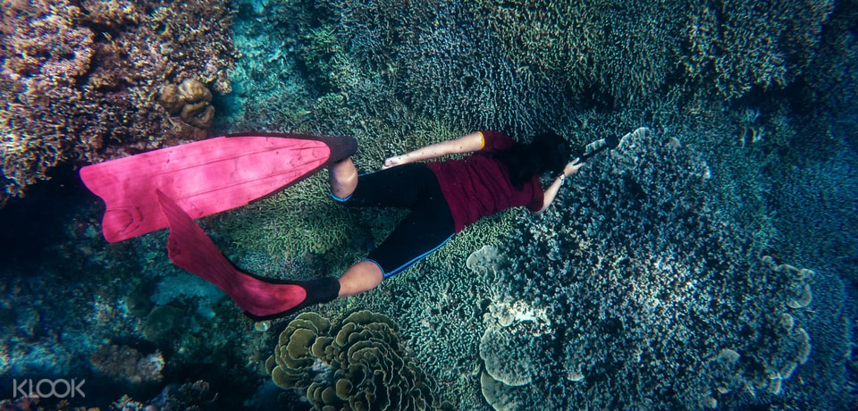 1 Day Snorkeling In Komodo National Park Labuan Bajo in ...