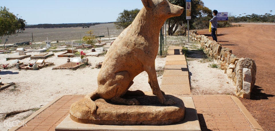 Wave Rock, York, Wildflowers & Aboriginal Culture Day Trip from Perth