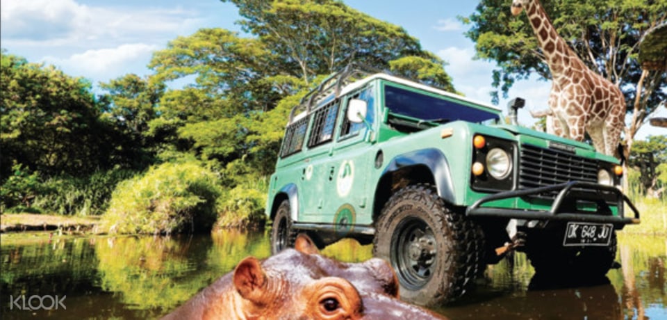 Up to 30% Off | Book Bali Safari and Marine Park Tour ...
