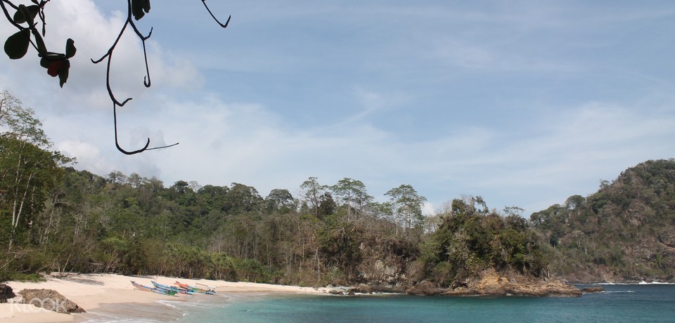 Sukamade Turtle Conservation, Green Bay, and Red Island ...