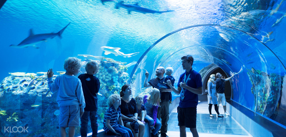 丹麦国家水族馆蓝色星球(den bl planet)门票