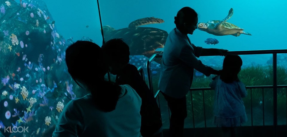 Tiket Jakarta Aquarium