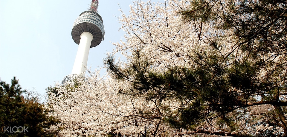 N Seoul Tower Tour