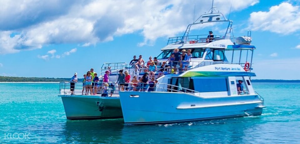 dolphin watch cruises jervis bay reviews