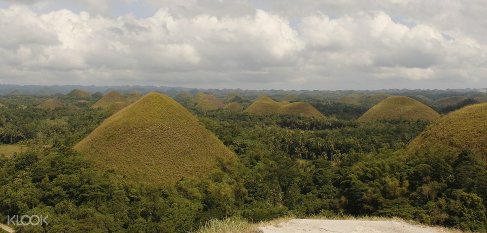 Bohol Tour