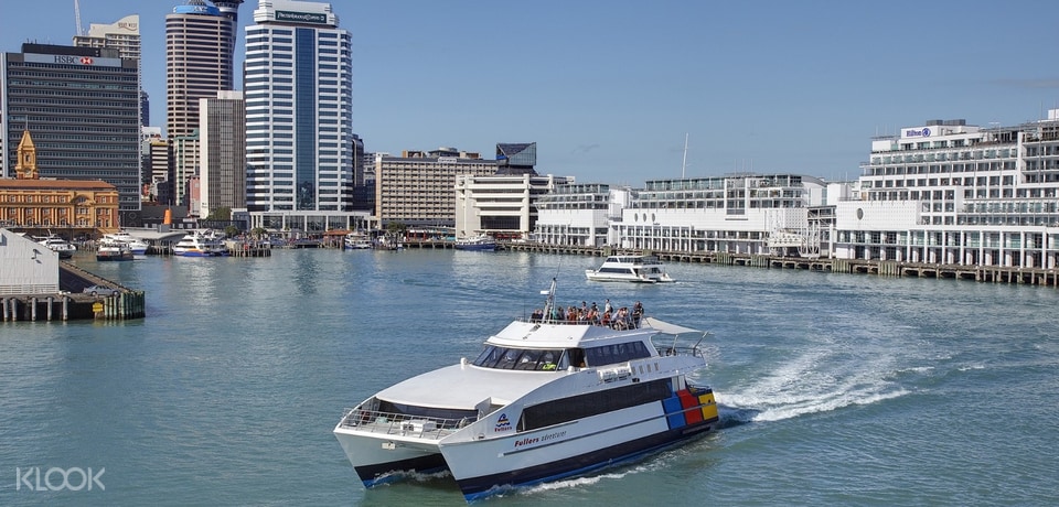 cruise only from auckland
