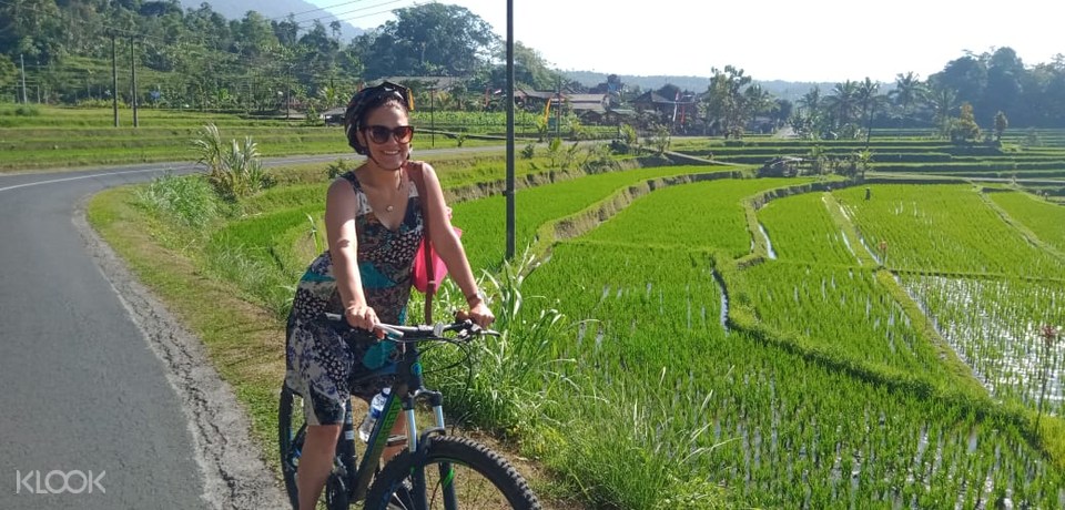 Cooking Class Experience in Jatiluwih Rice Terrace Bali ...