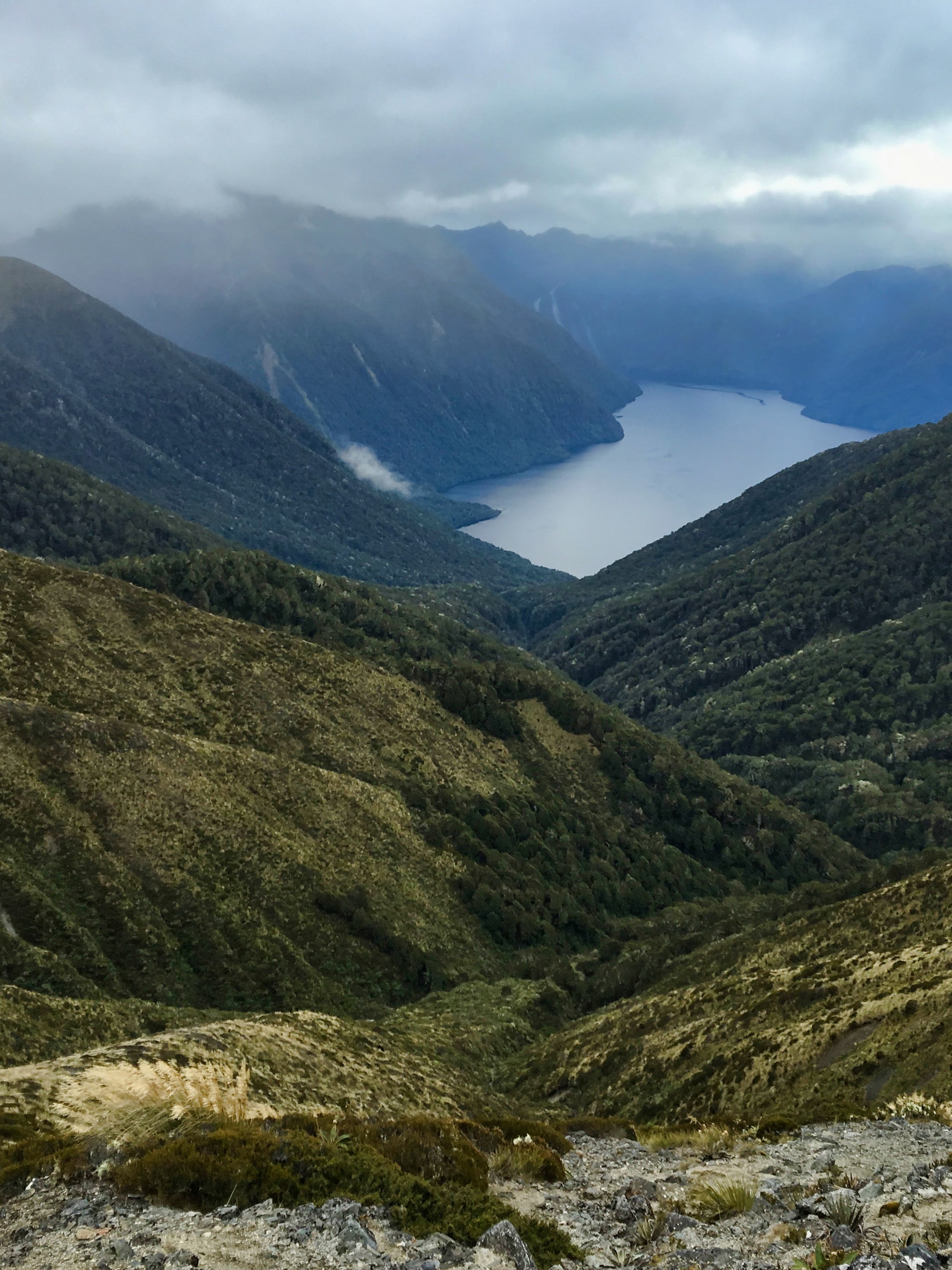 Best things to do in Te Anau 2024 Attractions & activities Klook