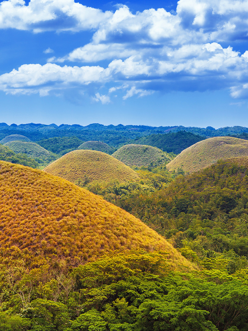 Best things to do in Bohol 2024 Attractions & activities Klook