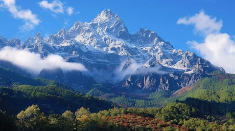 One-day tour to Jade Dragon Snow Mountain in Lijiang, Yunnan