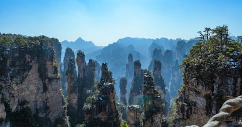 Zhangjiajie National Forest Park 1-Day Essence Tour (VIP Fast Pass/Bailong Elevator can be combined)