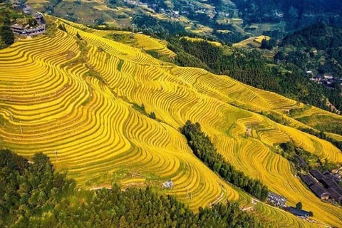Guilin Departure Longji Terraces Ping'an Zhuang Village, Changfa Village, Jinkeng Terraces 1-Day Tour