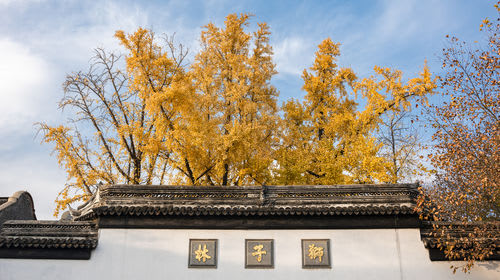 Lion Forest Garden Admission Ticket in Suzhou