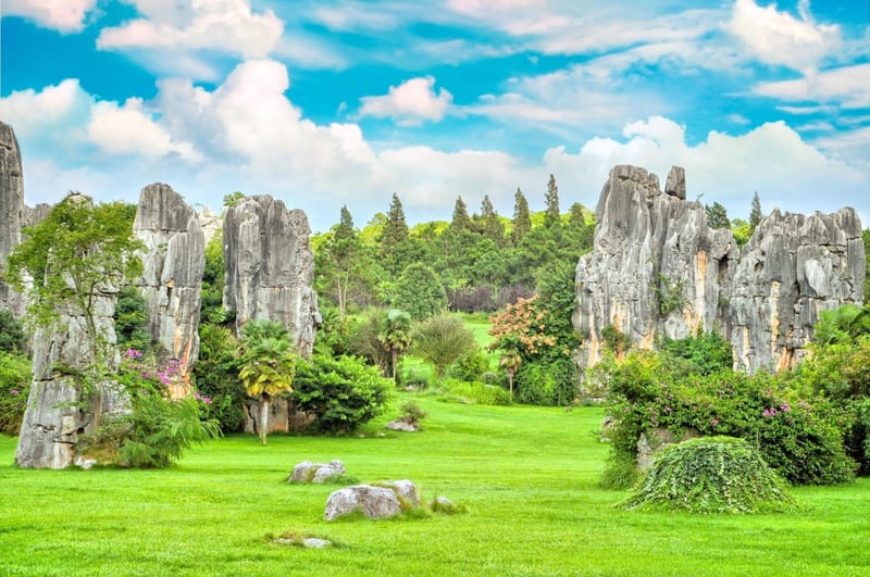 Kunming Stone Forest Day Tour (Group Tour)