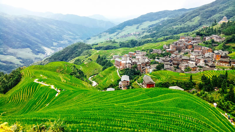 Private 1-Day Tour of Longji Ping'an Rice Terraces, Guilin