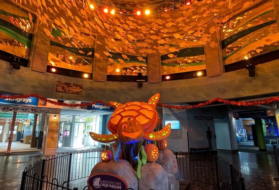 Adventure Aquarium