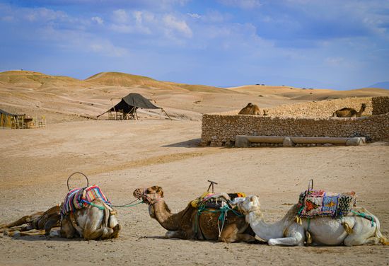 Agafay Desert