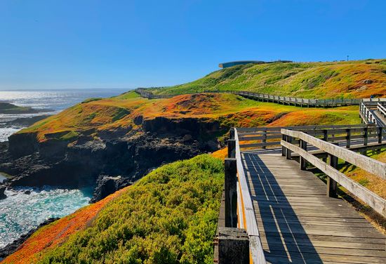 Phillip Island