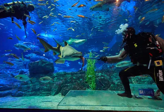 SEA LIFE Busan Aquarium