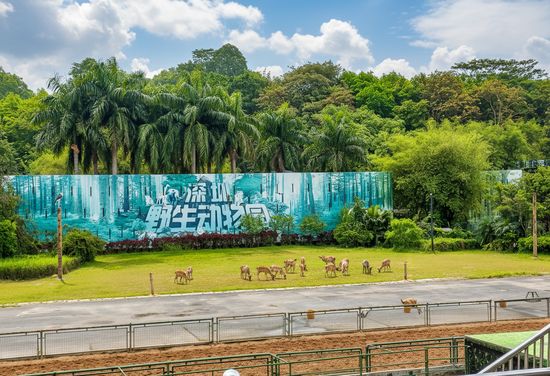 Shenzhen Safari Park