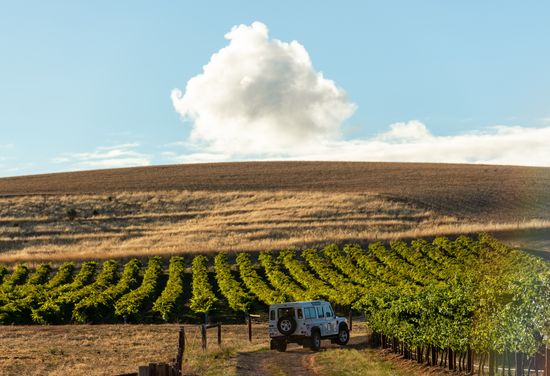 Barossa Valley