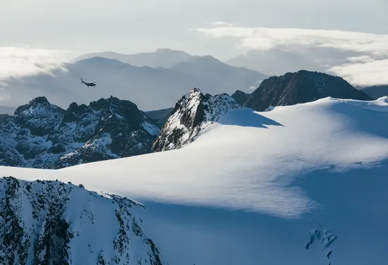 Fox Glacier