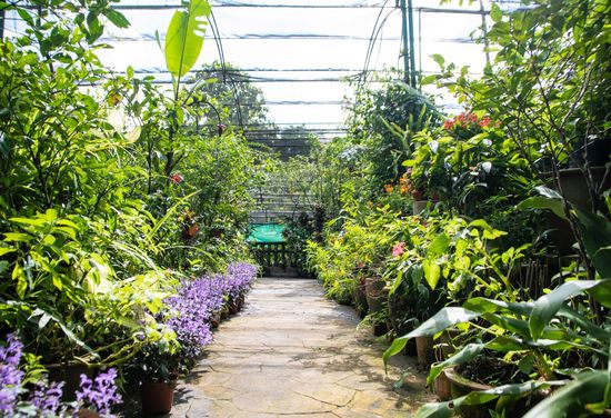 Kuala Lumpur Butterfly Park