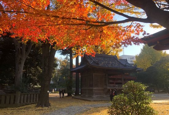 Yanaka Cemetery