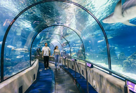 Barcelona Aquarium