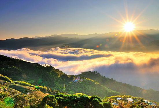 阿里山
