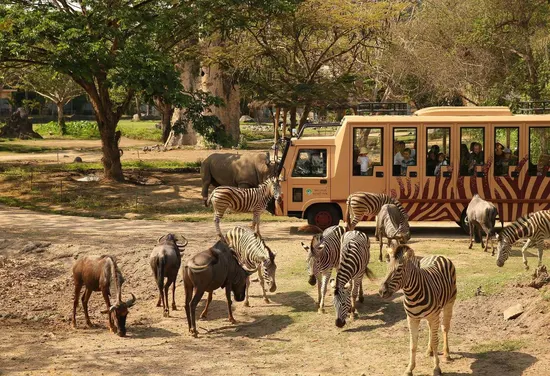 Bali Safari and Marine Park